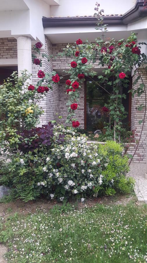 Villa Gioia Rooms モンテグラナーロ エクステリア 写真